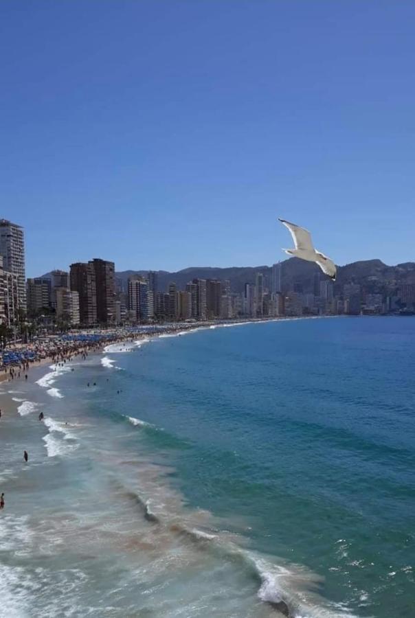 San Remo Levante Beach Apartments 貝尼多姆 外观 照片